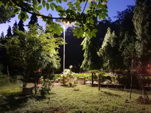 Vidyanagara Park || Davangere