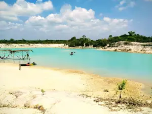 Barreiro Azul Pov. Tingidor