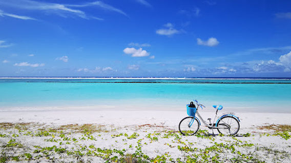 Shark point Thulusdhoo