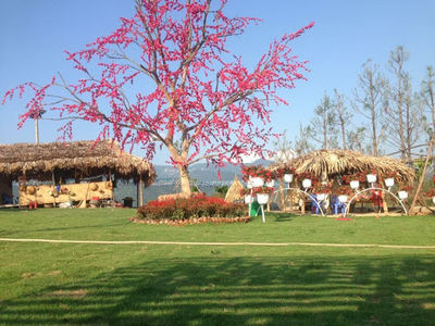 Garden Tay Thien