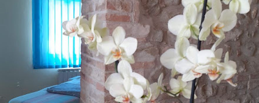 Studio di naturopatia Simona Goti