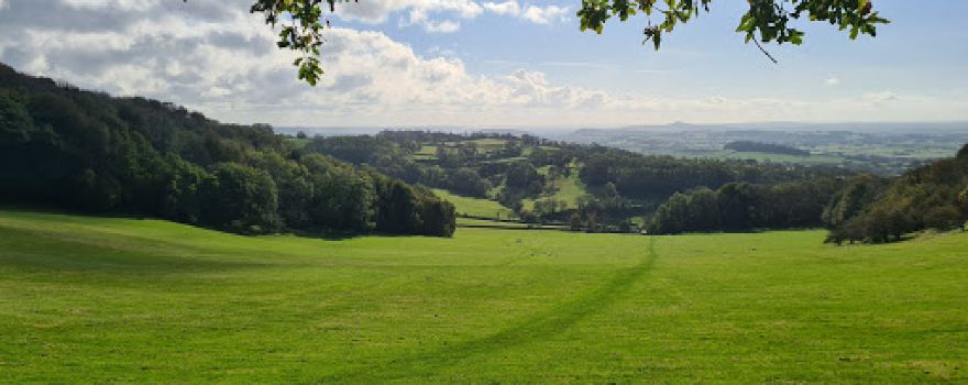 Rodney Stoke National Nature Reserve