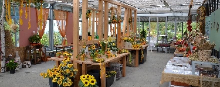 Zöller Gartengestaltung und Pflanzen - Baumschule Zöller