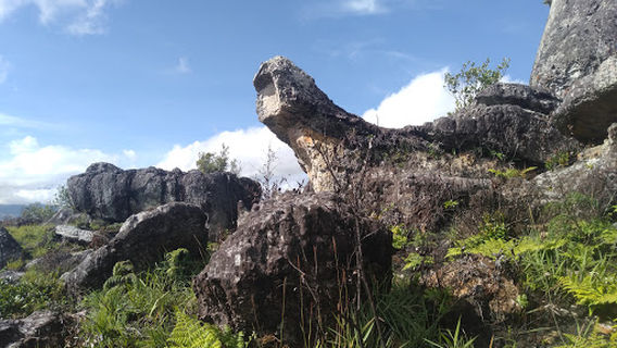 White Sands (Pasir Putih)