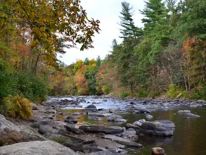 Peoples State Forest