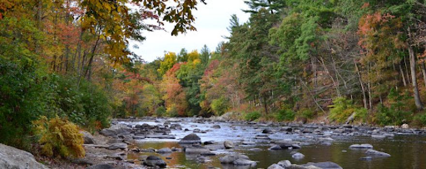 Peoples State Forest