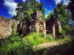 The Royal Castle ruins