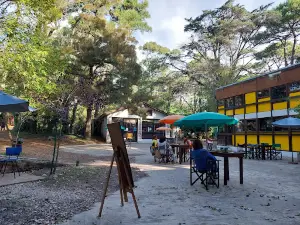 Bosque Fundacional
