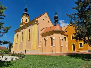Andocsi Nagyboldogasszony Bazilika