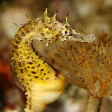 Top 20 Family-friendly Attractions in Catalonia