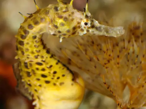 바르셀로네스의 가족 친화 베스트 10