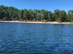 Myles Standish State Forest