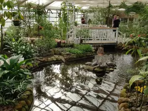 Garden of butterflies