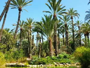 Huerto Del Cura Jardin Artistico Nacional