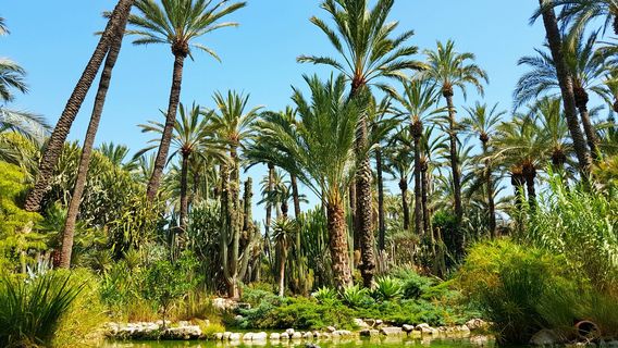 Huerto Del Cura Jardin Artistico Nacional