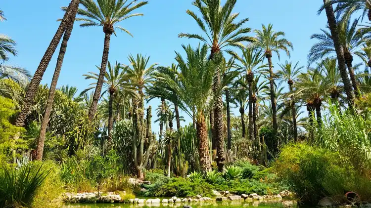 Hotels in der Nähe von Jardín Huerto del Cura
