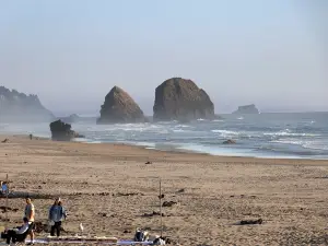 Tolovana Beach State Recreation Site