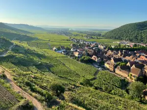 Castle de Kaysersberg
