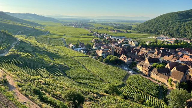 Castle de Kaysersberg