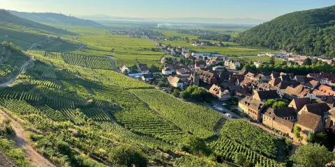 凱瑟斯貝格城堡