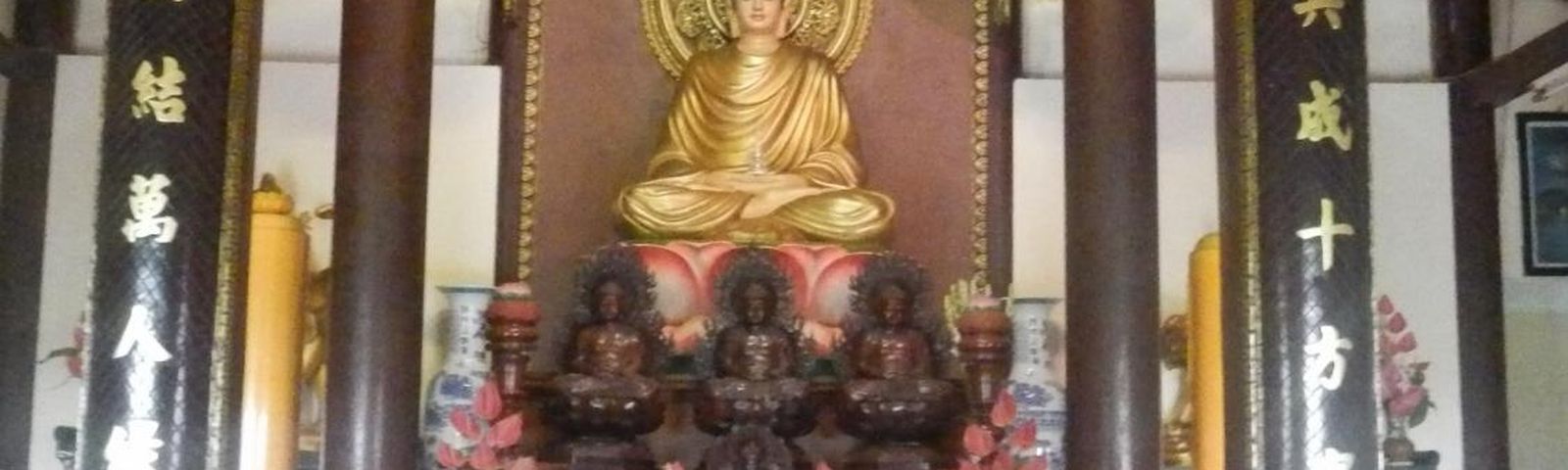 Чау ДокSIM-карты