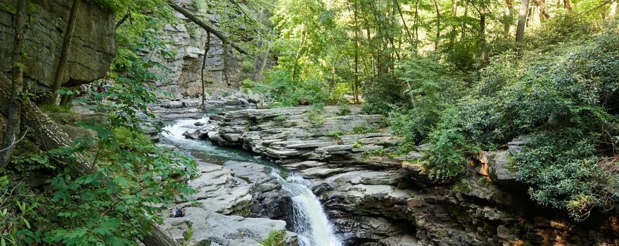 Nay Aug Park