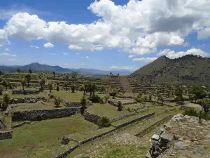 Zona Arqueológica de Cantona