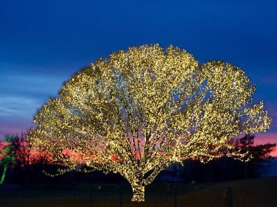 Draper City Park