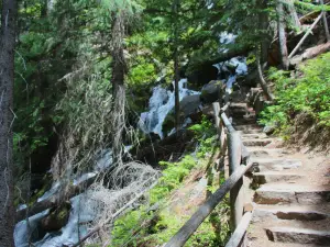 Okanogan-Wenatchee National Forest
