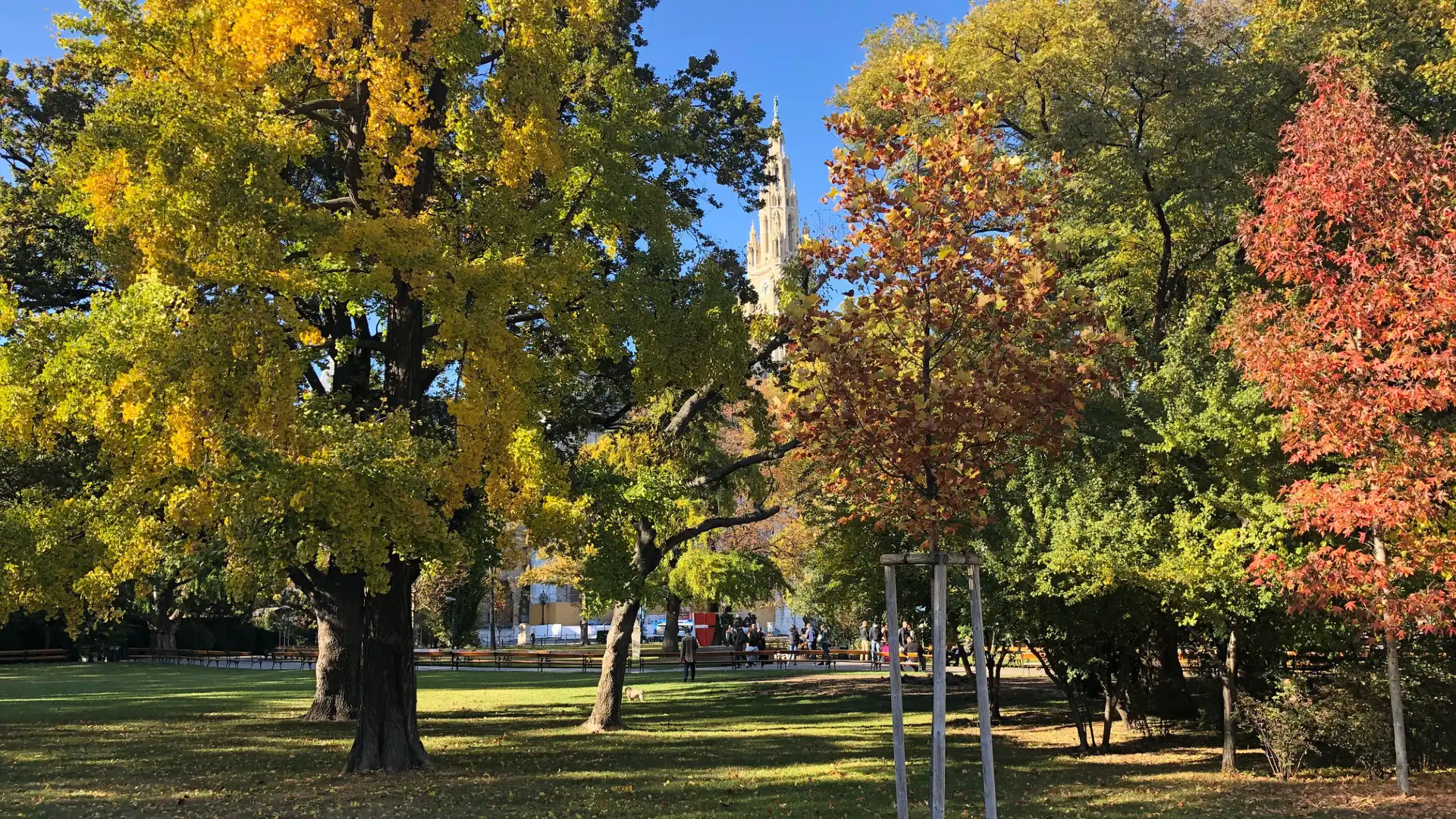 鄰近市政廳公園的酒店