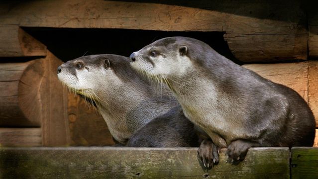 Two Rivers Wildlife Park