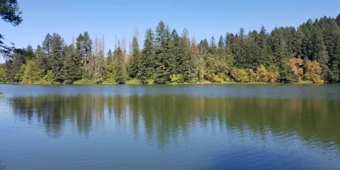 Lacamas Lake