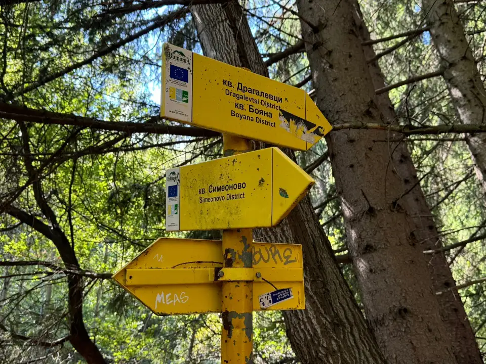 3_Vitosha Mountain