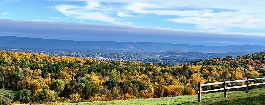 Apex Orchards