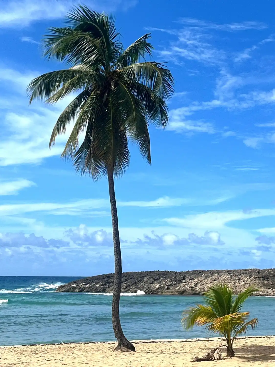 Hotels near Jobos Beach