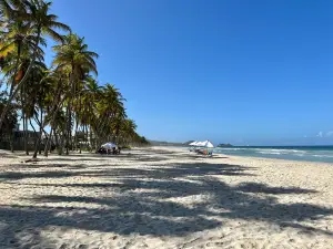 La Playa El Agua