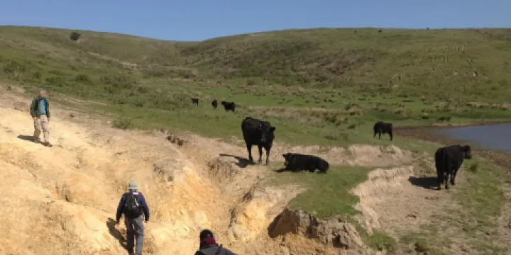 Tomales Bay State Park