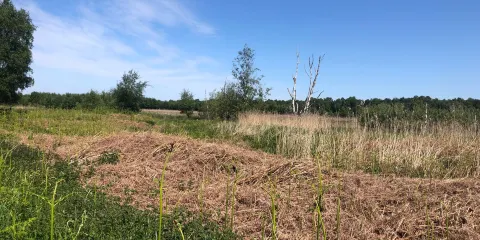 Thorne and Hatfield Moors
