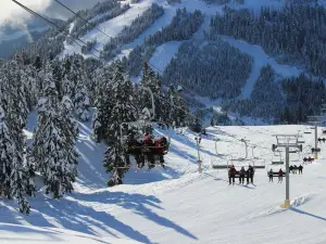 Popular Ski Resorts in Greater Vancouver