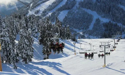 賽普里斯山滑雪場