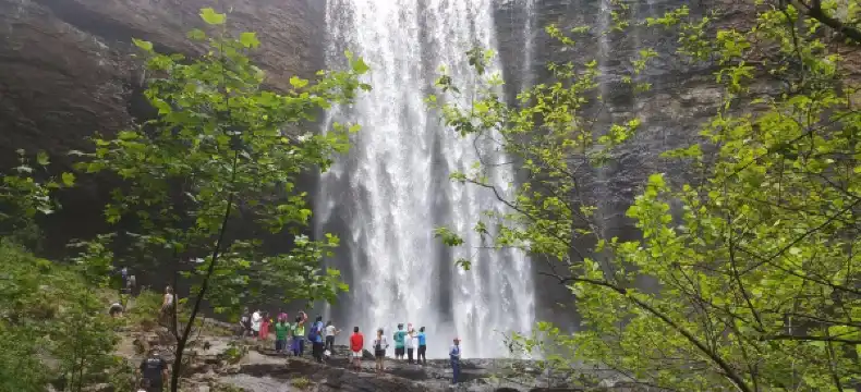 Hotels in Walker County