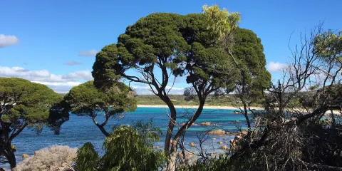 Bunker Bay