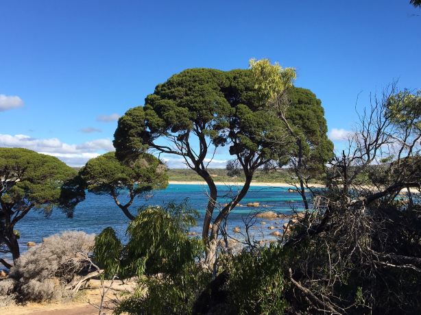 Bunker Bay Rd
