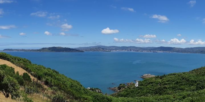 Matiu / Somes Island