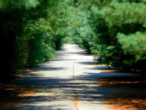 Wompatuck State Park