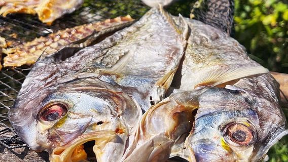 Ban Nam Khem Tsunami Memorial Center