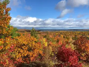 Thomas Rock Scenic Overlook