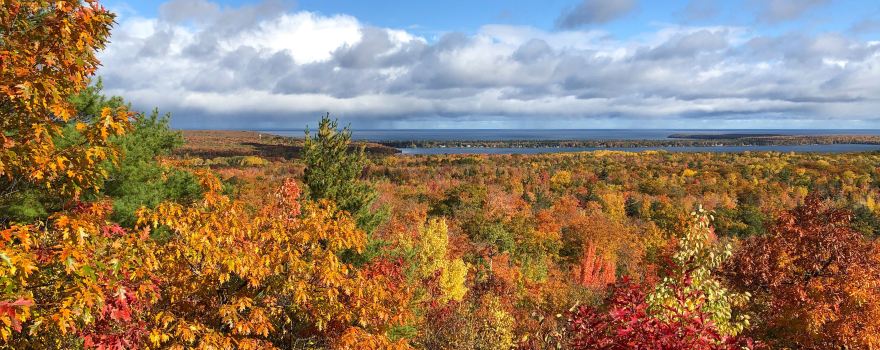Thomas Rock Scenic Overlook