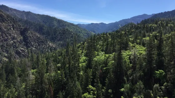 Six Rivers National Forest