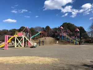 Oyama General Park